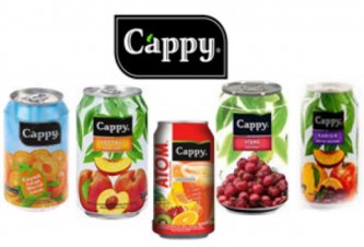 MEŞRUBATLAR Cappy(Şeftali, Vişne, Kayısı, Karışık)